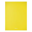 Picture of DISPLAY BOOK A4 X20 NEON COLOURS